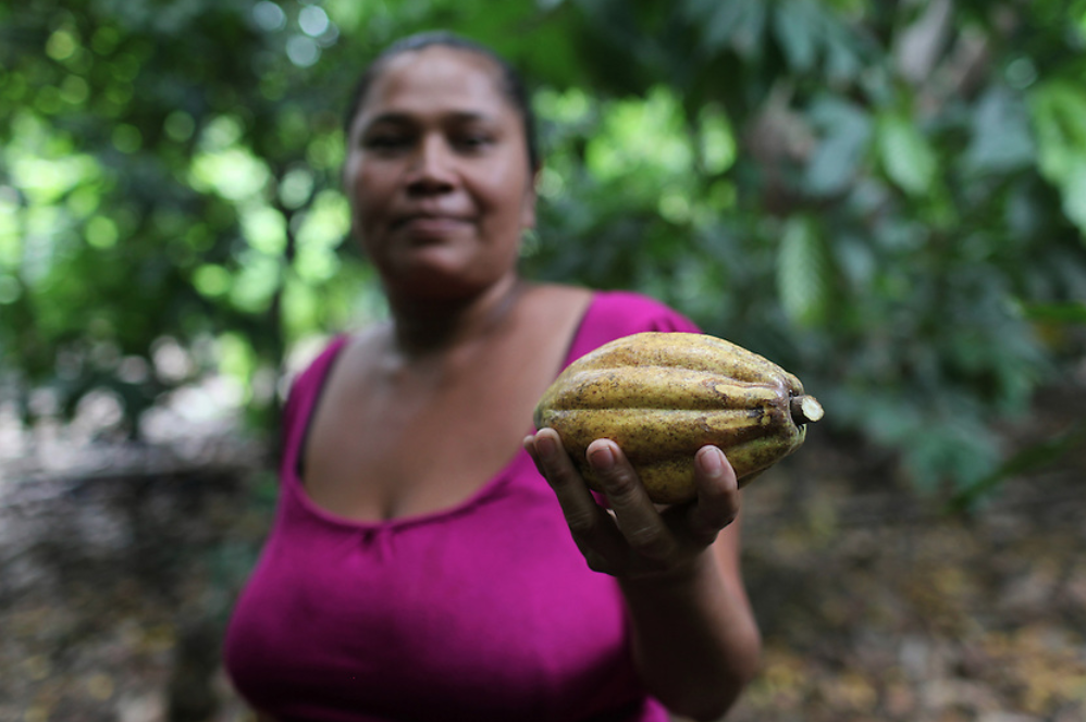 fair-trade-image-cocoa.png